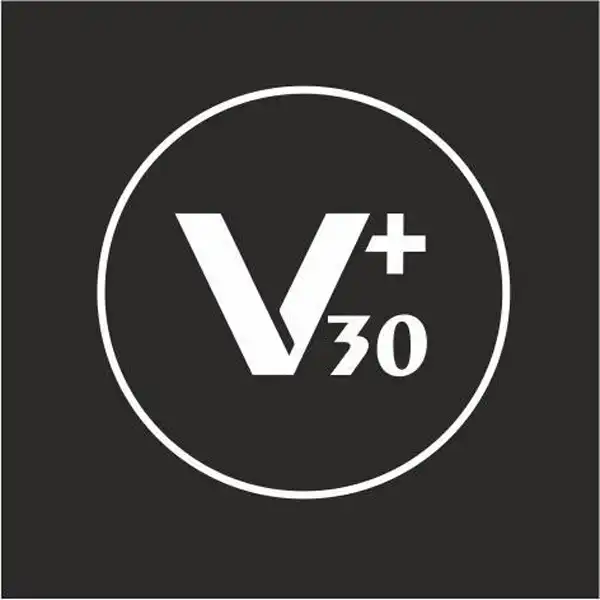Farmacia Velazquez 30 logo