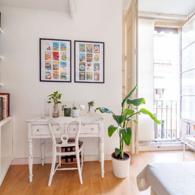 AS Real Estate photo 1