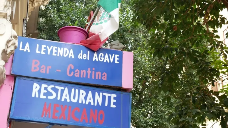 La Leyenda del Agave photo 2