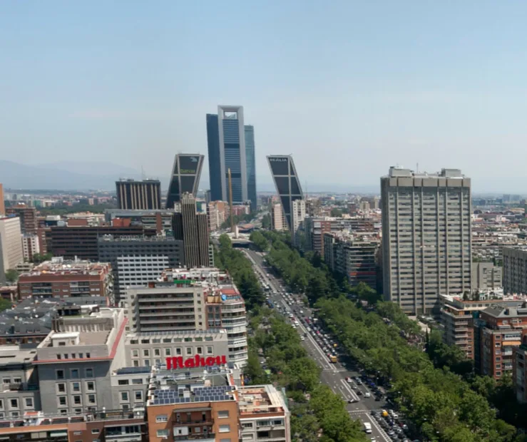 LOOK AND FIND CASTELLANA photo 5