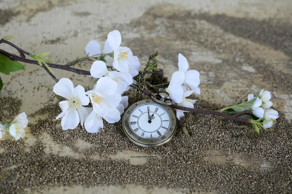 Detalle de reloj vintage de lujo en TodoReloj, referencia en compraventa y tasación en Salamanca Madrid